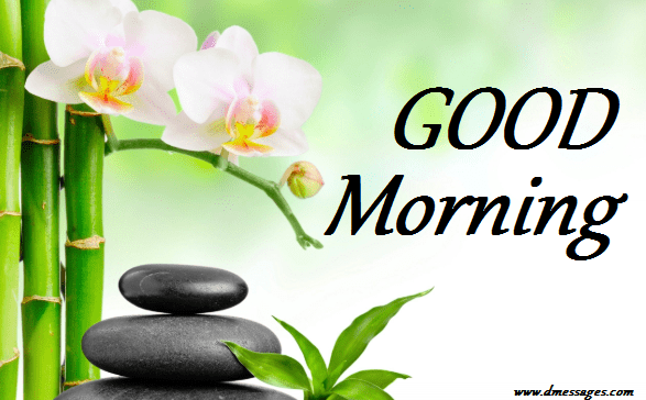 Good Morning SMS