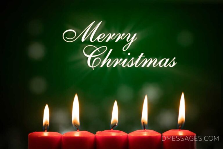 *BEST* 350+ Merry Christmas Wishes Text Messages & SMS