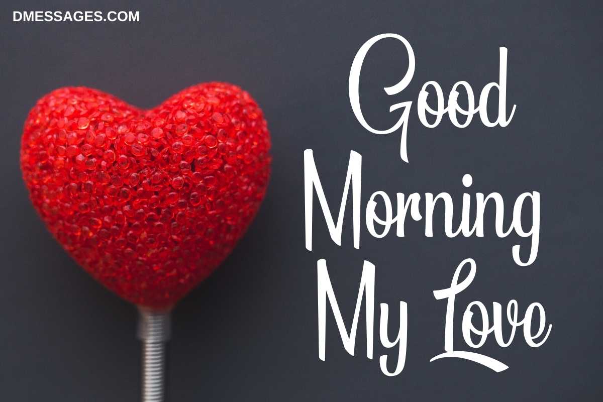Ultimate Collection: 999+ Beautiful Good Morning My Love Images - Full ...