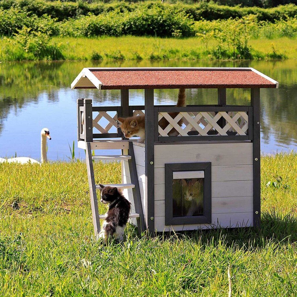 Dibea Lodge Cat House